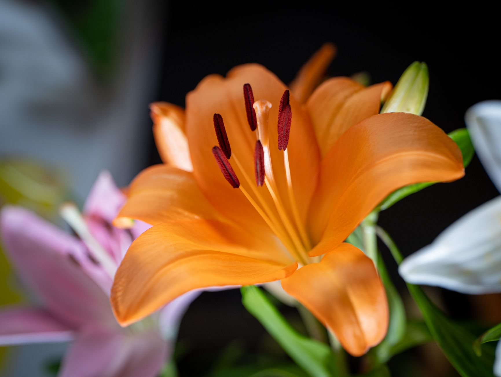 Livraison Fleurs Versailles 2